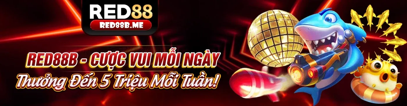 Hình ảnh giới thiệu 888d, nền tảng cá cược trực tuyến hàng đầu Việt Nam 2026
